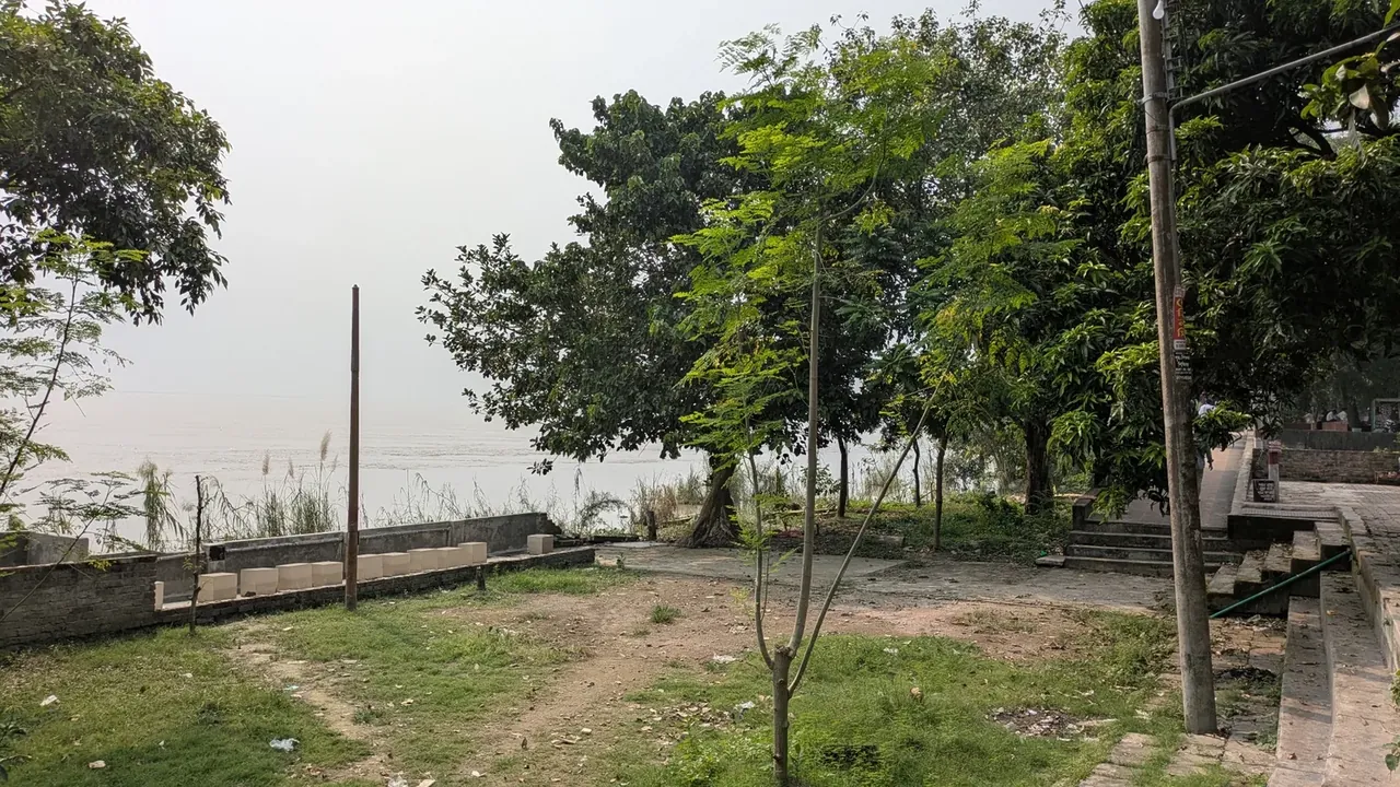 A quiet green riverside with trees and an open path
